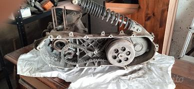 carter Minarelli verticale