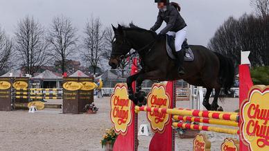 Cavallo da salto