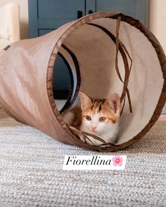 Fiorellina la gattina chiacchierina
