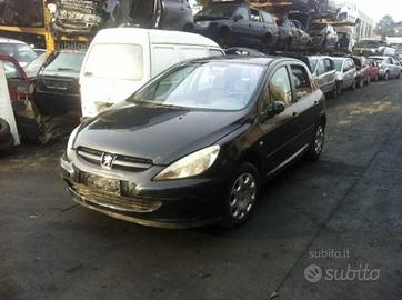 Peugeot 307 anno 2004