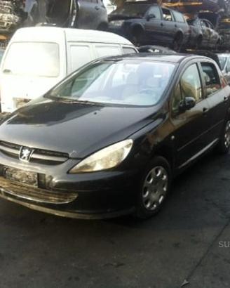 Peugeot 307 anno 2004