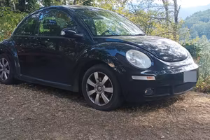New Beetlee 