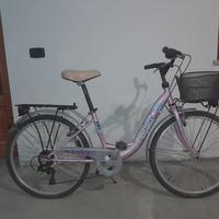 Bicicletta per ragazzi