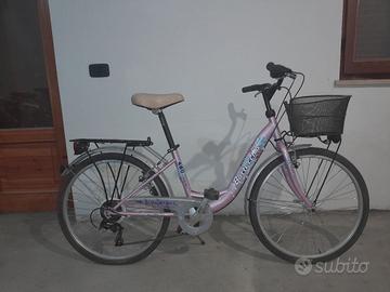 Bicicletta per ragazzi