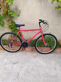 Bicicletta 26