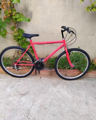 Bicicletta 26