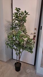 Pianta finta Ikea Fejka ficus h 175 cm