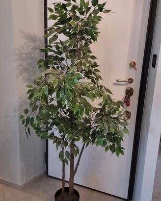 Pianta finta Ikea Fejka ficus h 175 cm