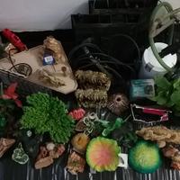 150 accessori e filtri per acquario usati e nuovi