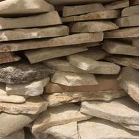 Scorza di Pietra di Trani Anticata