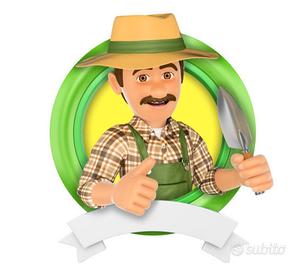 P O L L I C E.  V E R D E