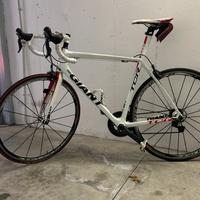 Giant TCR Advance
