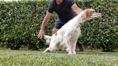Setter