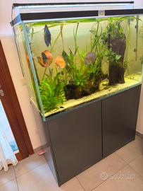 Acquario 400L