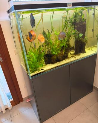 Acquario 400L