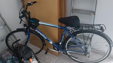 bicicletta 