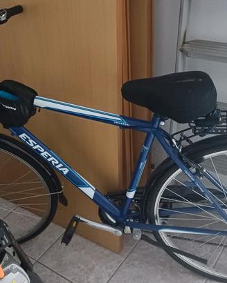 bicicletta 