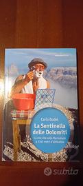 La sentinella delle dolomiti di Carlo Budel