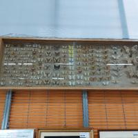 bacheca collezione Fatfalle 