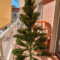 Albero di natale grande da aprire i rami 