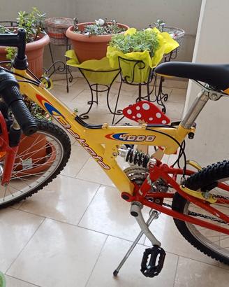 MTB del 24 usata biammortizzato 