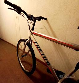 Bicicletta adulto Frejus