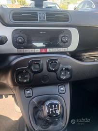 Panda cross