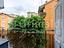 Immagine 8