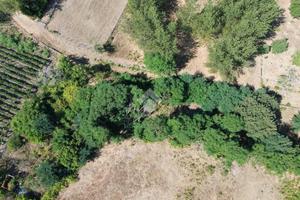 TERRENO A POLLENA TROCCHIA