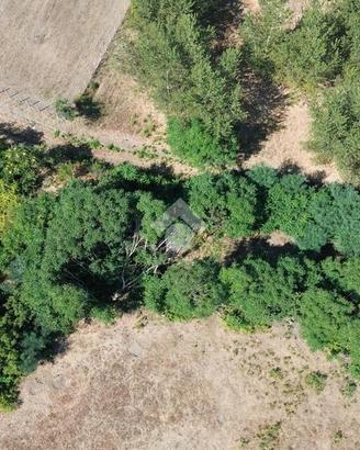 TERRENO A POLLENA TROCCHIA