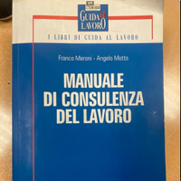 MANUALE DI CONSULENZA DEL LAVORO 2007