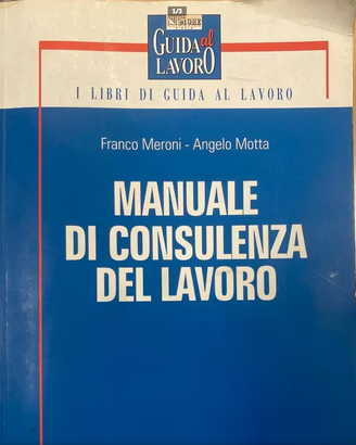 MANUALE DI CONSULENZA DEL LAVORO 2007