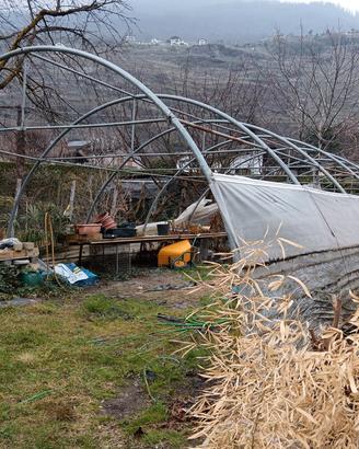 serra agricola, tunnel coltivazione