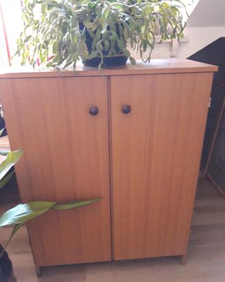 Scarpiera vintage