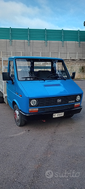 Iveco daily om