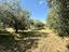 Immagine 16