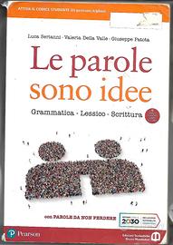le parole sono idee - grammatica lessico