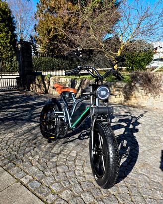 Fat bike bicicletta elettrica