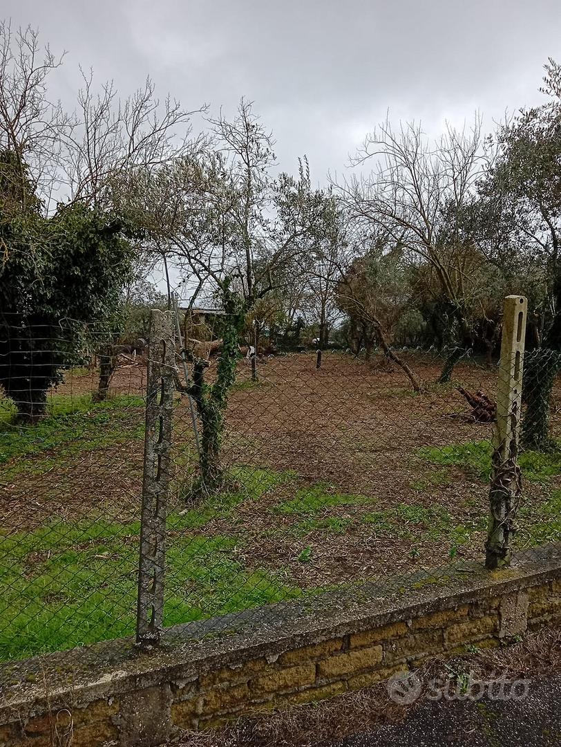 Terreno edificabile - Vista 3