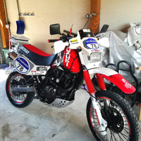 DR 650 Djebel