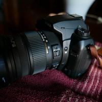 SIGMA SD15 (sensore FOVEON) + 17÷70/2.8÷4.5 Macro