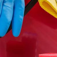 Badante/Collaboratrice domestica