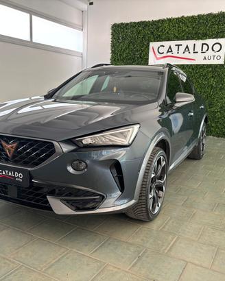 Cupra Formentor 2.0 TDI 4Drive DSG
