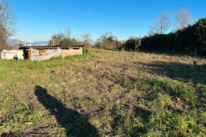 Terreno ai Camaldoli