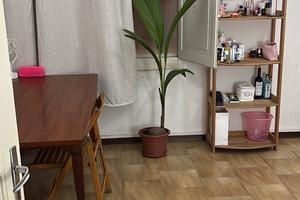 Camera singola bologna _ sono un mese