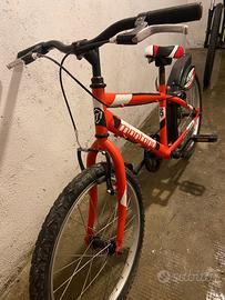 Bicicletta 20