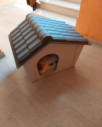 Cuccia per Cane 