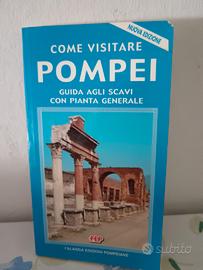Guida Antica Pompei Falanga EdizioniCon Pianta E 