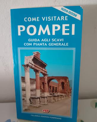 Guida Antica Pompei Falanga EdizioniCon Pianta E 