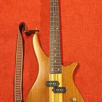 Basso Samick Artist Series